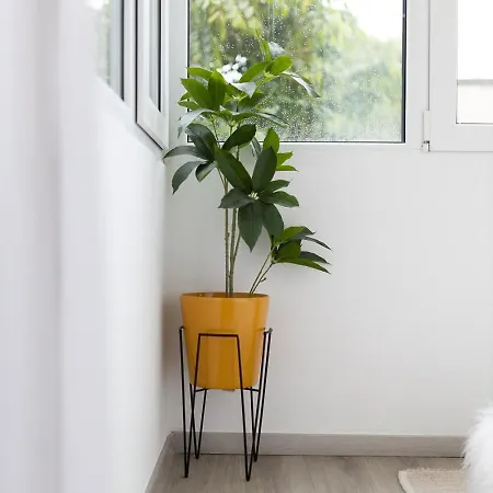 Modern 9 With Balcony Braşov