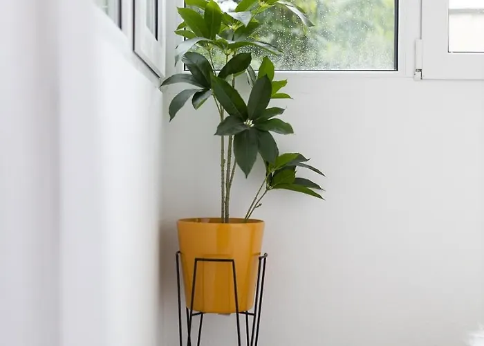 Modern 9 With Balcony Braşov